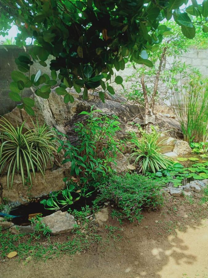 Sidhangana Home Stay アヌラーダプラ エクステリア 写真