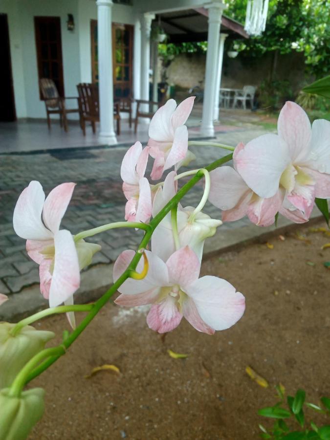 Sidhangana Home Stay アヌラーダプラ エクステリア 写真
