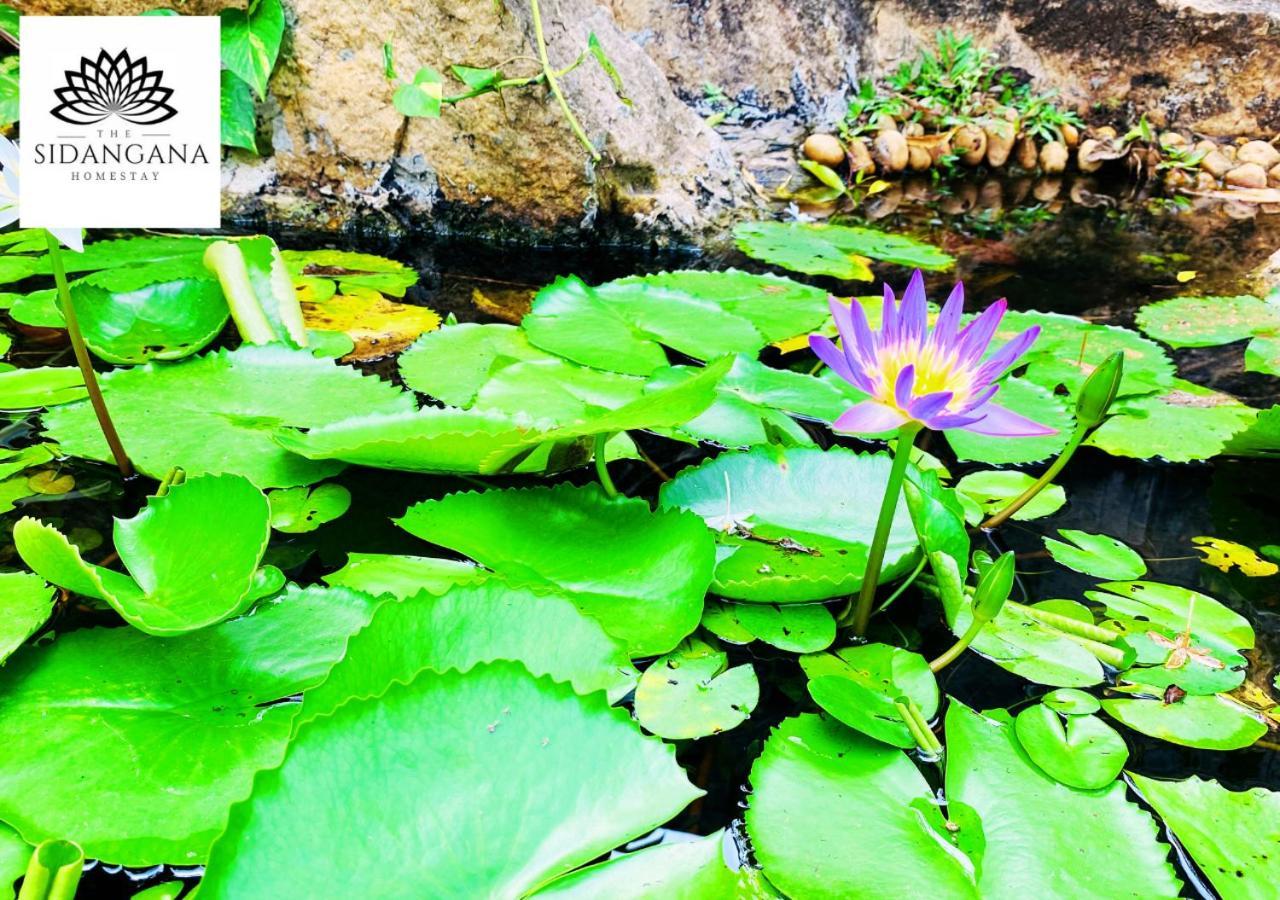 Sidhangana Home Stay アヌラーダプラ エクステリア 写真