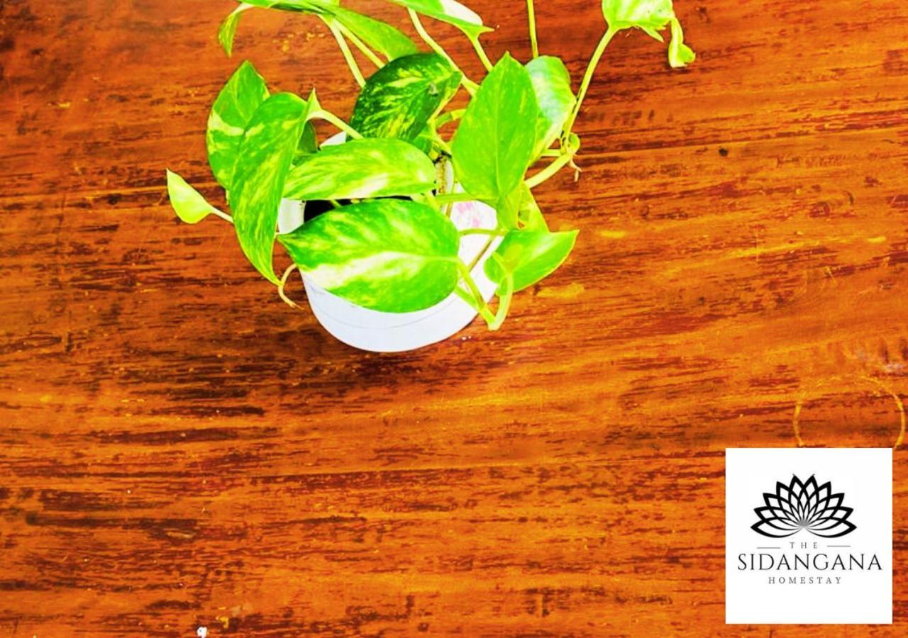 Sidhangana Home Stay アヌラーダプラ エクステリア 写真